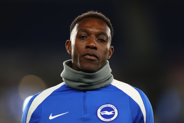 Brighton & Hove Albion FC v Southampton FC - Premier League