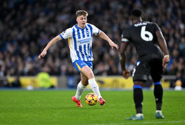 Brighton & Hove Albion FC v Crystal Palace FC - Premier League