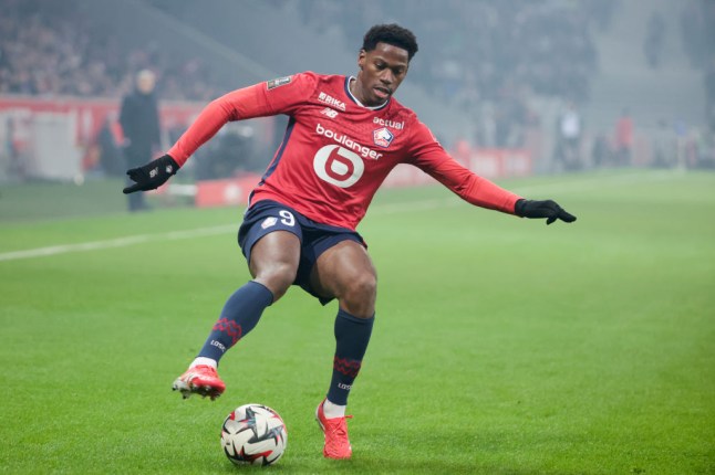 Lille OSC v OGC Nice - Ligue 1 McDonald's
