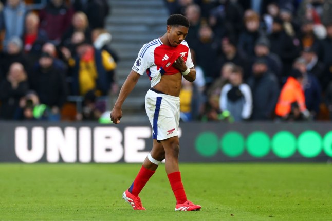 Wolverhampton Wanderers FC v Arsenal FC - Premier League