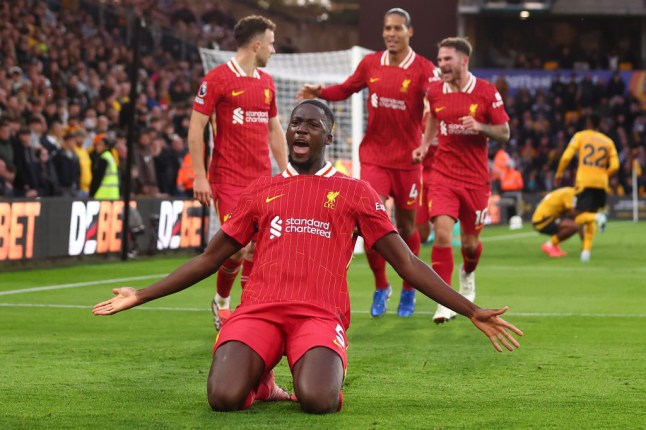 Wolverhampton Wanderers FC v Liverpool FC - Premier League