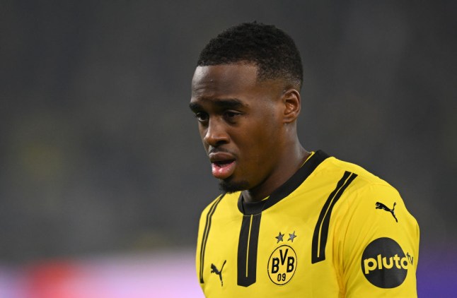 Borussia Dortmund v SK Sturm Graz - UEFA Champions League 2024/25 League Phase MD4