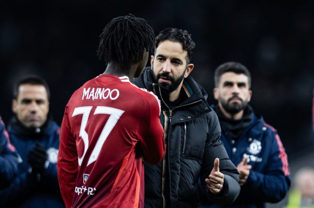 Tottenham Hotspur v Manchester United - Carabao Cup Quarter Final