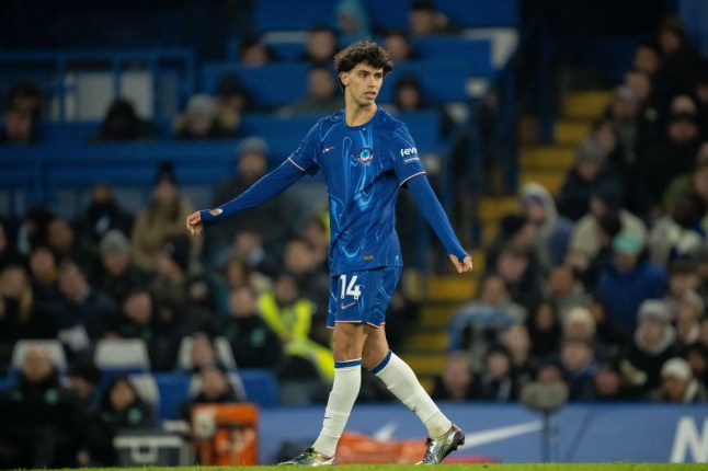 Chelsea FC v Wolverhampton Wanderers FC - Premier League