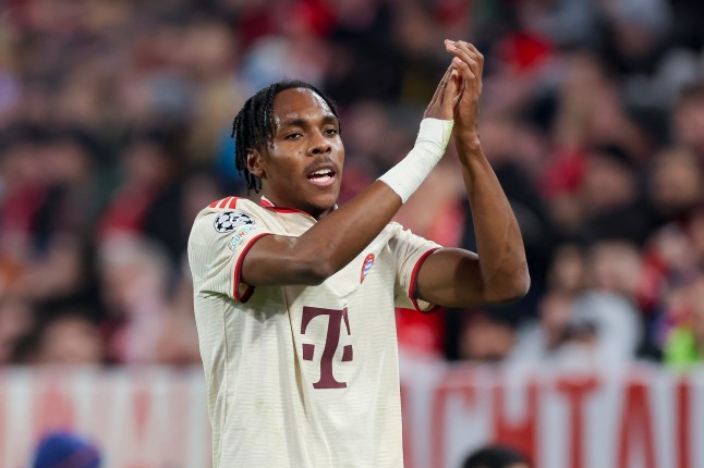 FC Bayern München v SK Slovan Bratislava - UEFA Champions League 2024/25 League Phase MD8