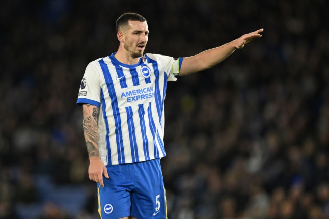 Brighton & Hove Albion FC v Everton FC - Premier League