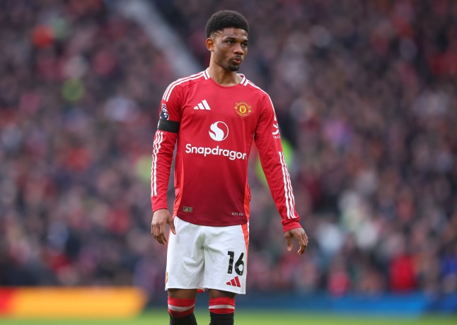 Manchester United FC v Crystal Palace FC - Premier League