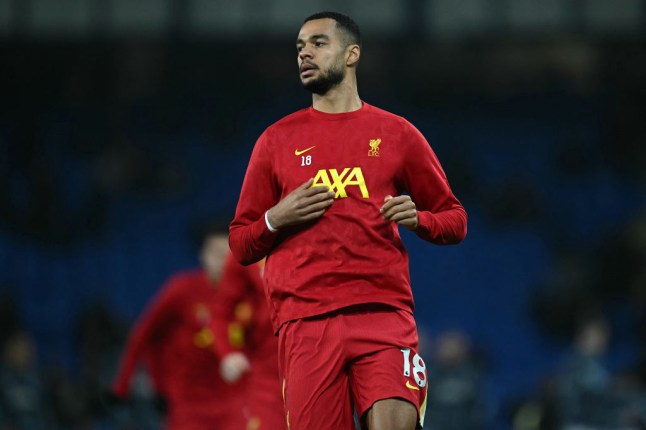 FBL-ENG-PR-EVERTON-LIVERPOOL