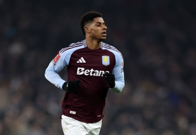 Aston Villa v Tottenham Hotspur - Emirates FA Cup Fourth Round