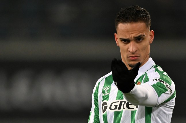 UEFA Europa Conference League 2024/25 League Knockout Play-off First LegKAA Gent v Real Betis Balompie