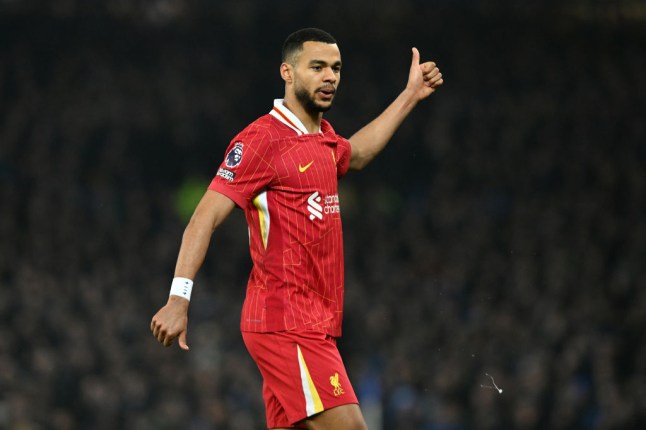 Everton FC v Liverpool FC - Premier League