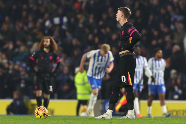 Brighton & Hove Albion FC v Chelsea FC - Premier League