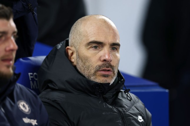 Brighton & Hove Albion FC v Chelsea FC - Premier League