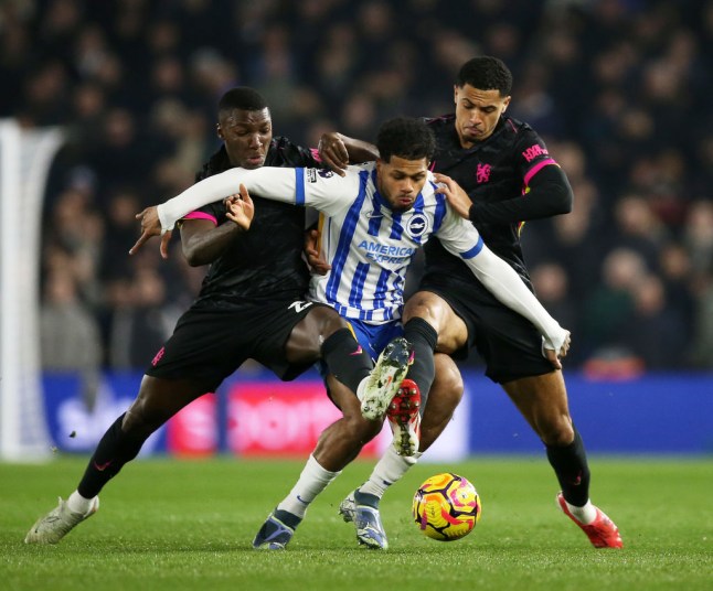 Brighton & Hove Albion FC v Chelsea FC - Premier League