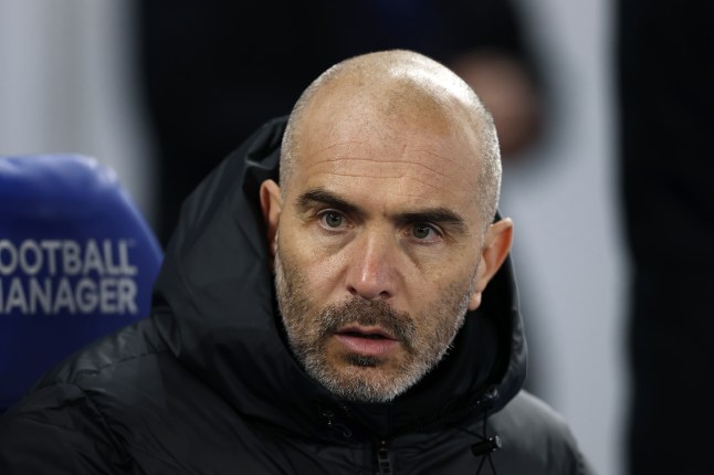 Brighton & Hove Albion FC v Chelsea FC - Premier League