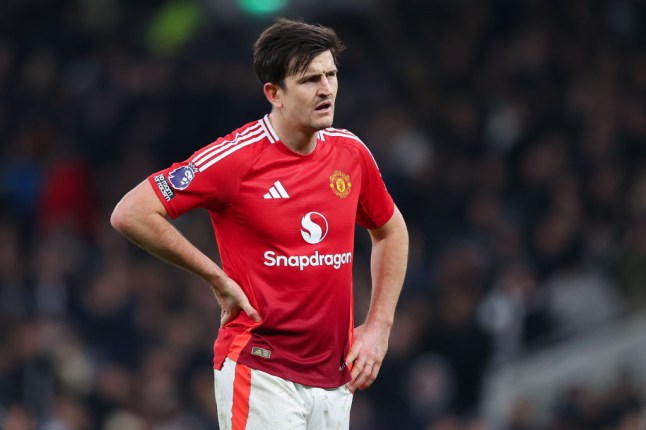 Tottenham Hotspur FC v Manchester United FC - Premier League