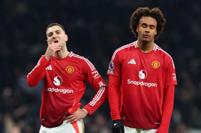 Tottenham Hotspur FC v Manchester United FC - Premier League
