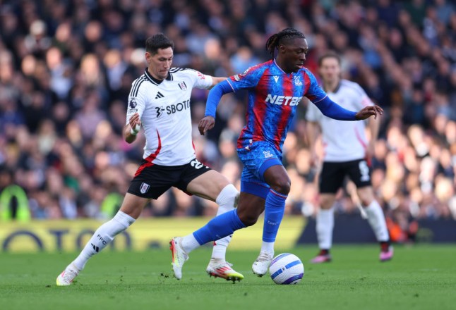 Fulham FC v Crystal Palace FC - Premier League