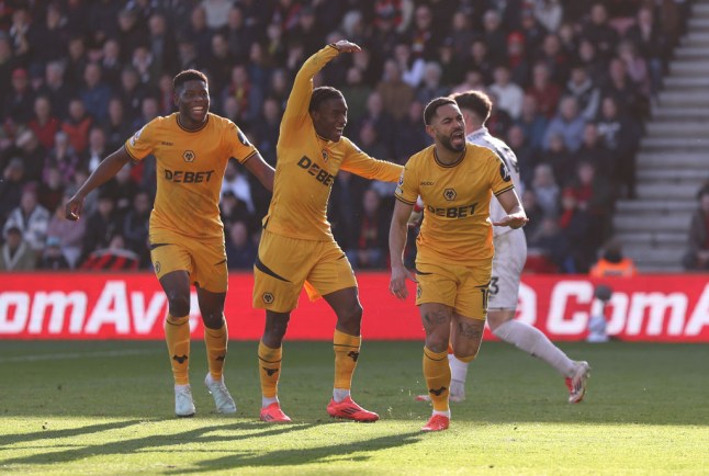 AFC Bournemouth v Wolverhampton Wanderers FC - Premier League