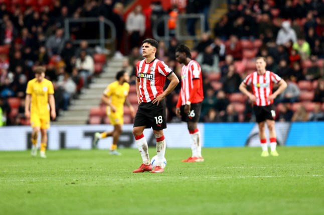 Southampton FC v Brighton & Hove Albion FC - Premier League