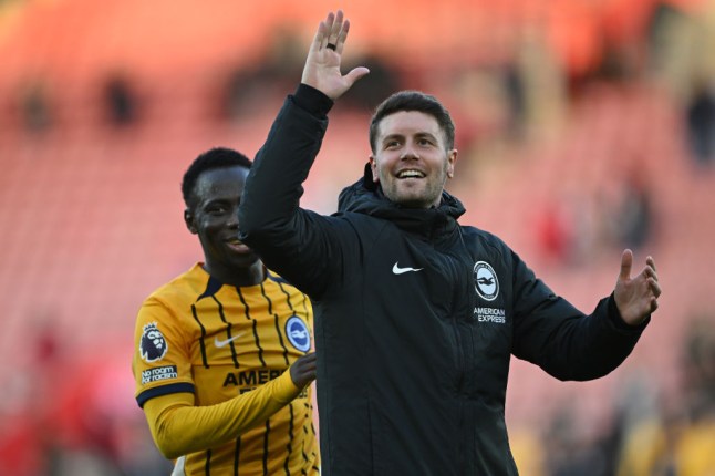 Southampton FC v Brighton & Hove Albion FC - Premier League