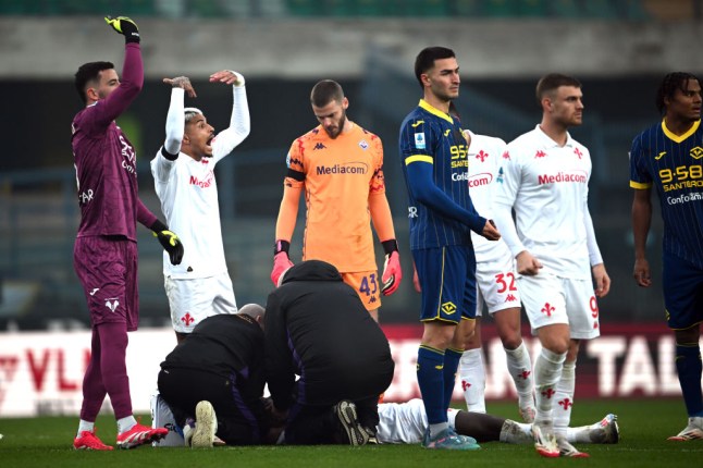 Verona v Fiorentina - Serie A