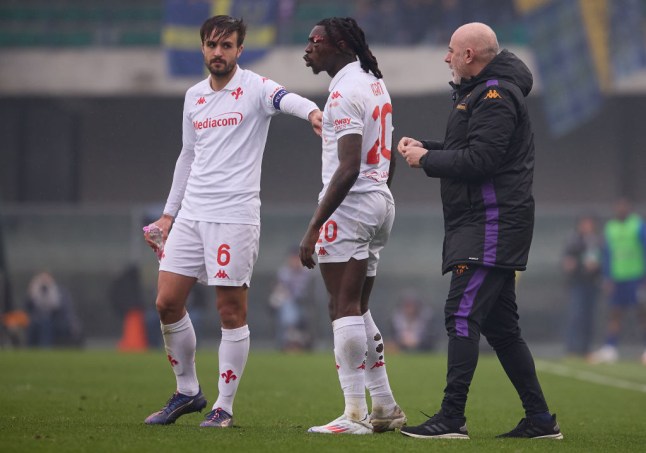 Verona v Fiorentina - Serie A