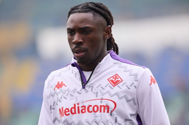 Verona v Fiorentina - Serie A