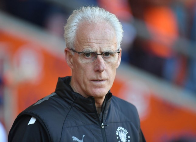 Blackpool v Cardiff City - Sky Bet Championship