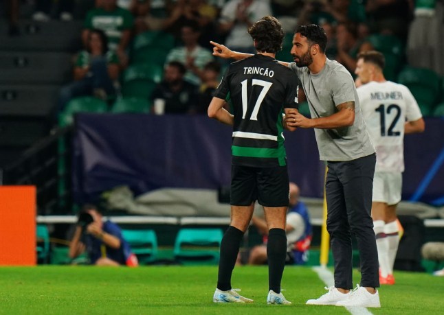 Sporting Clube de Portugal v LOSC Lille - UEFA Champions League 2024/25 League Phase MD1