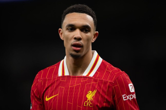 Tottenham Hotspur FC v Liverpool FC - Premier League