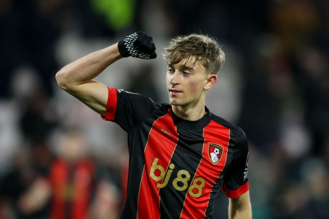 AFC Bournemouth v Everton FC - Premier League