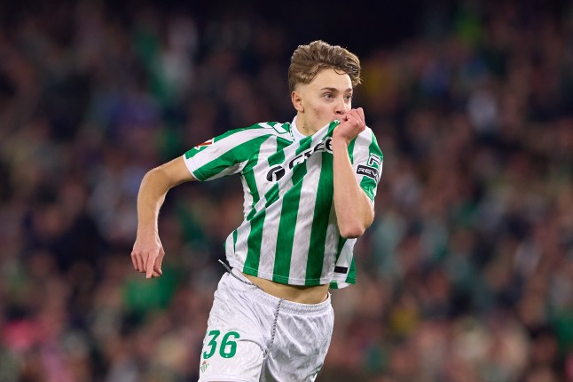 Real Betis Balompie v Deportivo Alaves - La Liga EA Sports