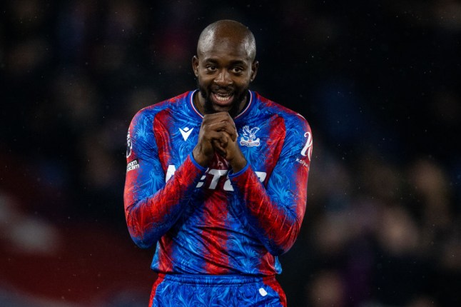 Crystal Palace FC v Everton FC - Premier League