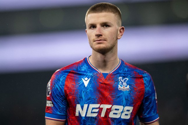Crystal Palace FC v Everton FC - Premier League