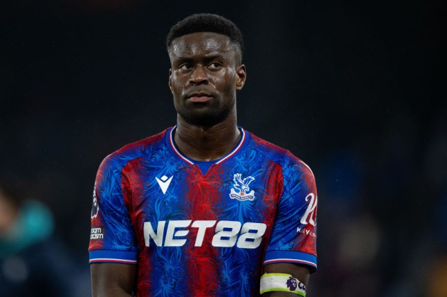 Crystal Palace FC v Everton FC - Premier League