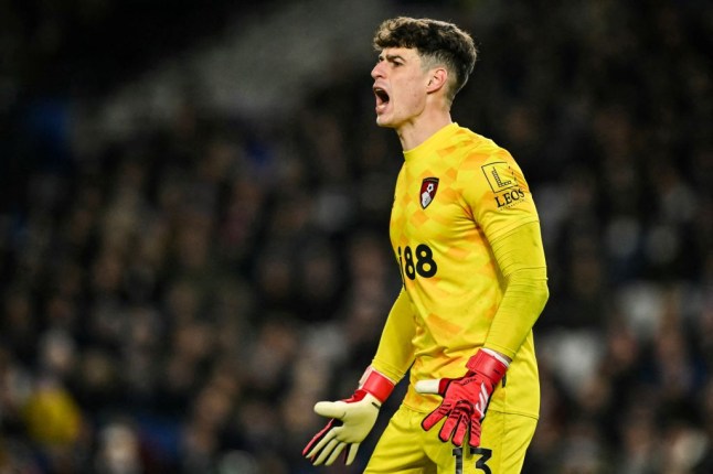 FBL-ENG-PR-BRIGHTON-BOURNEMOUTH