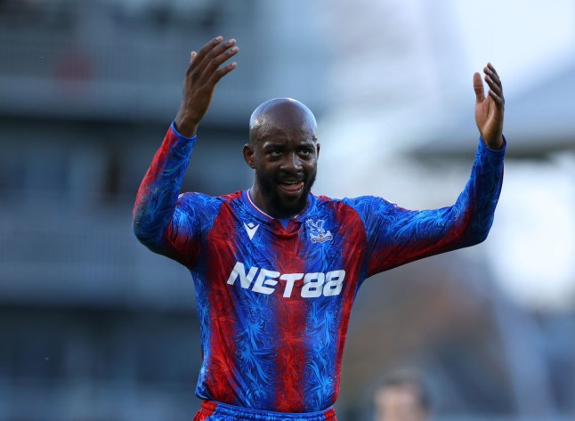 Fulham FC v Crystal Palace FC - Premier League