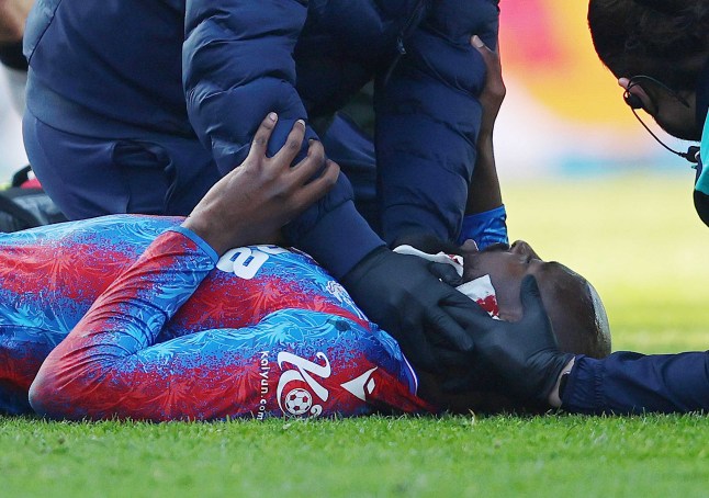 Crystal Palace v Millwall - Emirates FA Cup Fifth Round