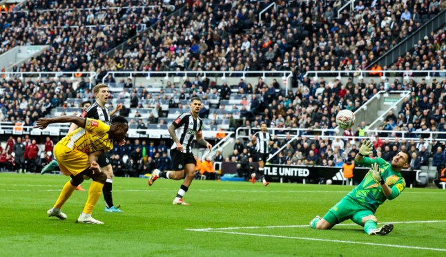 Newcastle United v Brighton & Hove Albion - Emirates FA Cup Fifth Round
