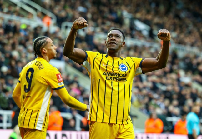 Newcastle United v Brighton & Hove Albion - Emirates FA Cup Fifth Round