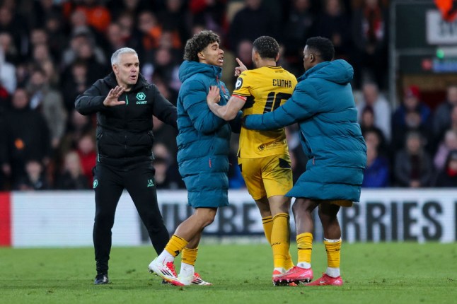AFC Bournemouth v Wolverhampton Wanderers - Emirates FA Cup Fifth Round