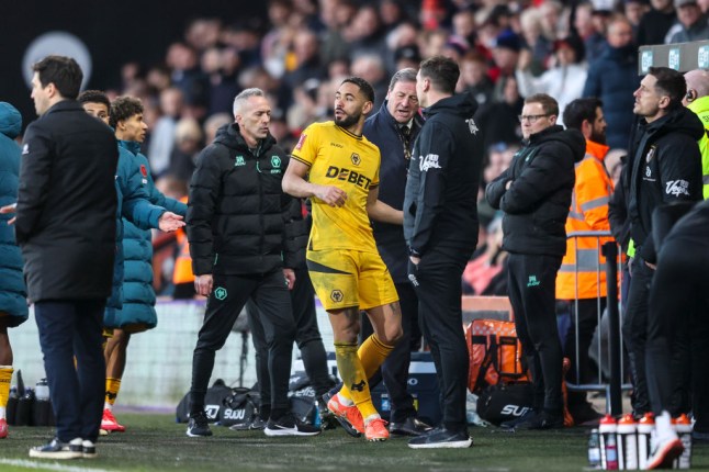 AFC Bournemouth v Wolverhampton Wanderers - Emirates FA Cup Fifth Round