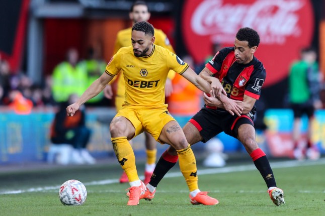 AFC Bournemouth v Wolverhampton Wanderers - Emirates FA Cup Fifth Round