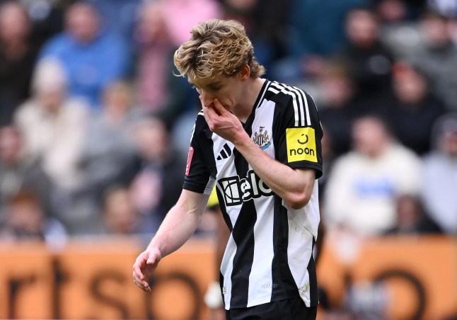 Newcastle United v Brighton & Hove Albion - Emirates FA Cup Fifth Round