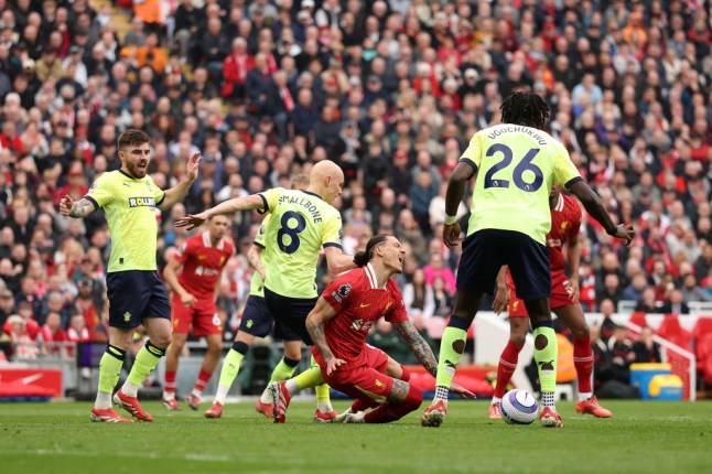 Liverpool FC v Southampton FC - Premier League