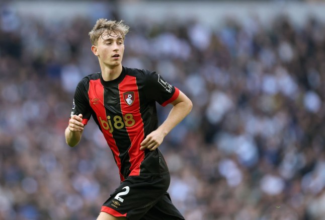 Tottenham Hotspur FC v AFC Bournemouth - Premier League