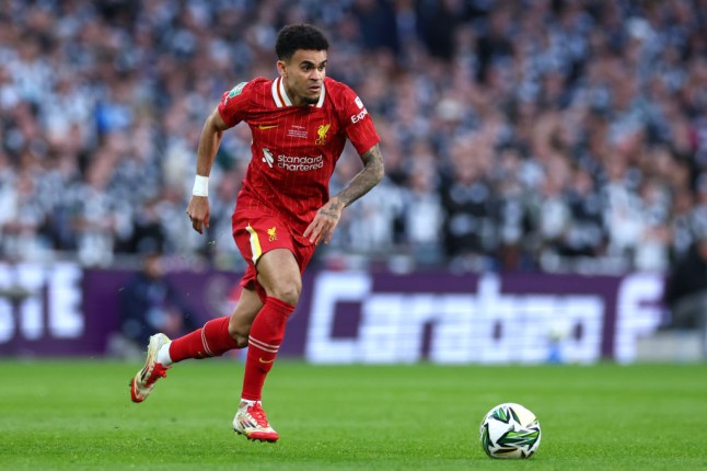 Liverpool v Newcastle United - Carabao Cup Final